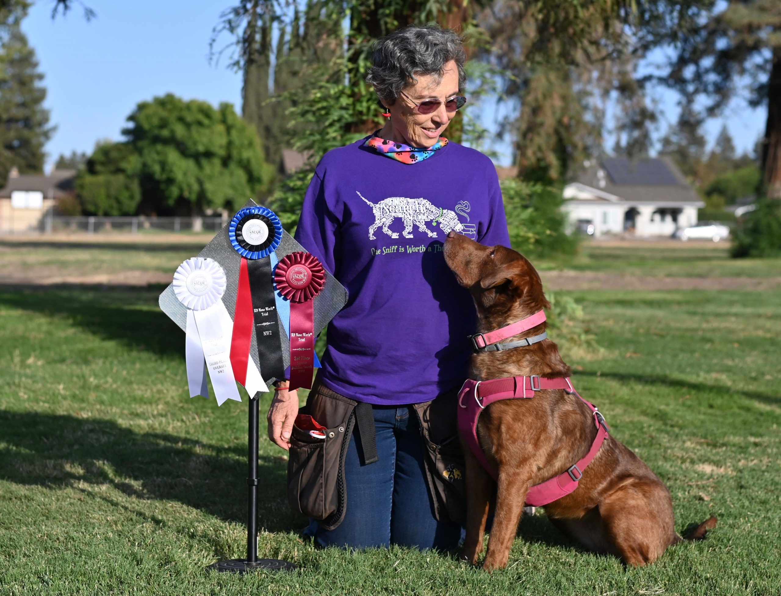 Fenzi Dog Sports Academy - EasyBlog - What to expect at a Nosework Trial  (NACSW)